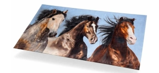 Osuška Koně v přírodě, 70x140 cm